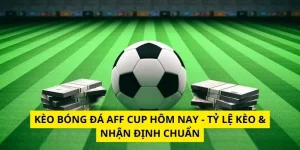 bóng đá aff cup