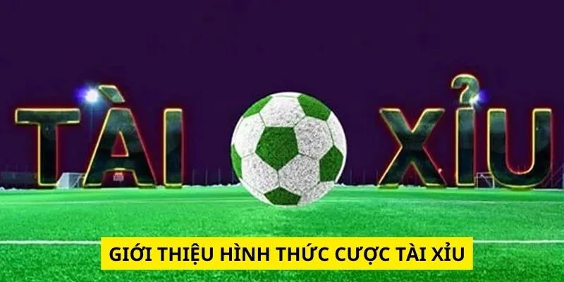 Giới thiệu hình thức cược Tài Xỉu